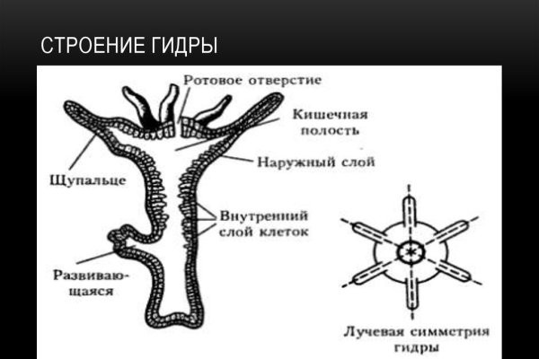 Кракен сайт купить наркотики