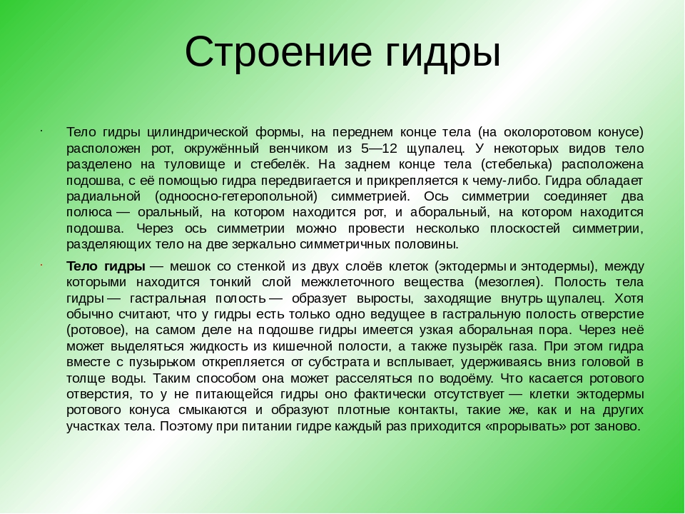 Kraken официальная ссылка tor